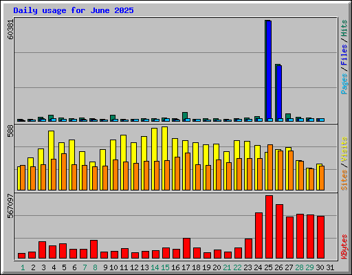 Daily usage for June 2025
