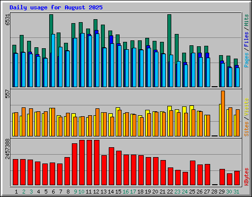 Daily usage for August 2025
