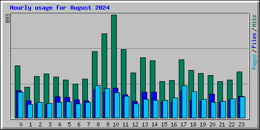 Hourly usage for August 2024