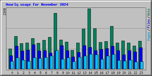 Hourly usage for November 2024