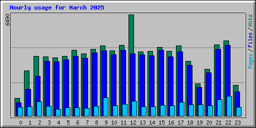 Hourly usage for March 2025
