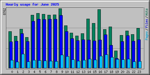 Hourly usage for June 2025