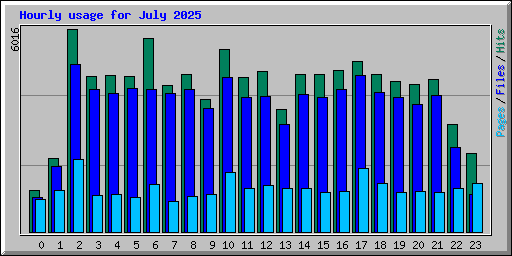 Hourly usage for July 2025