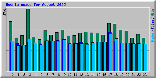 Hourly usage for August 2025