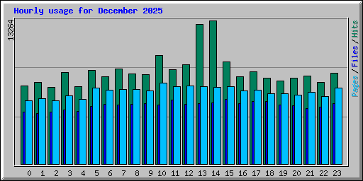 Hourly usage for December 2025