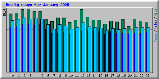 Hourly usage for January 2026
