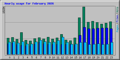 Hourly usage for February 2026
