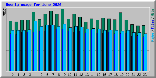 Hourly usage for June 2026